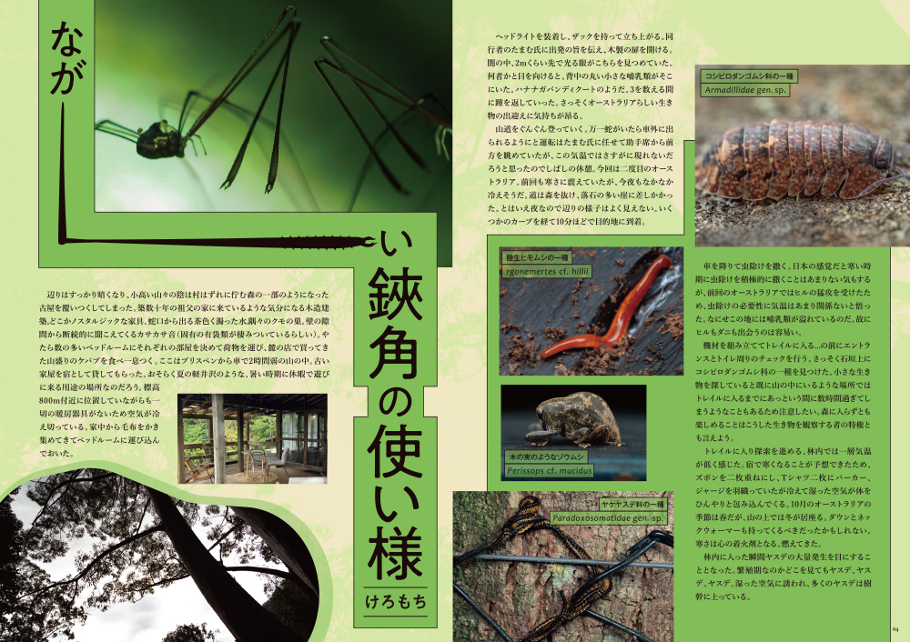 ながーい鋏角の使い様-1