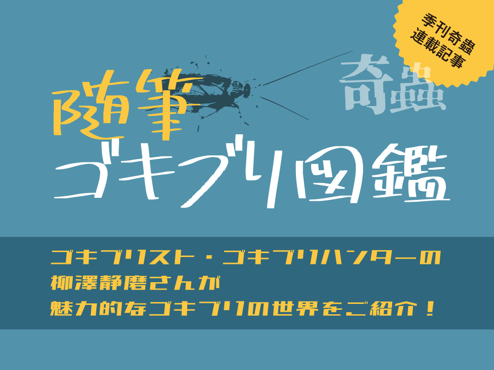 汎用_随筆ゴキブリ図鑑