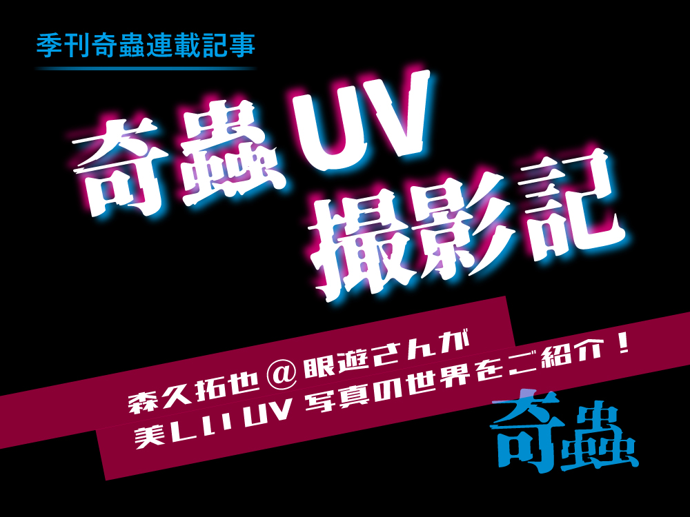 汎用_奇蟲UV撮影紀