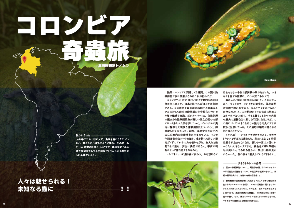 コロンビアの奇蟲_季刊奇蟲014-1