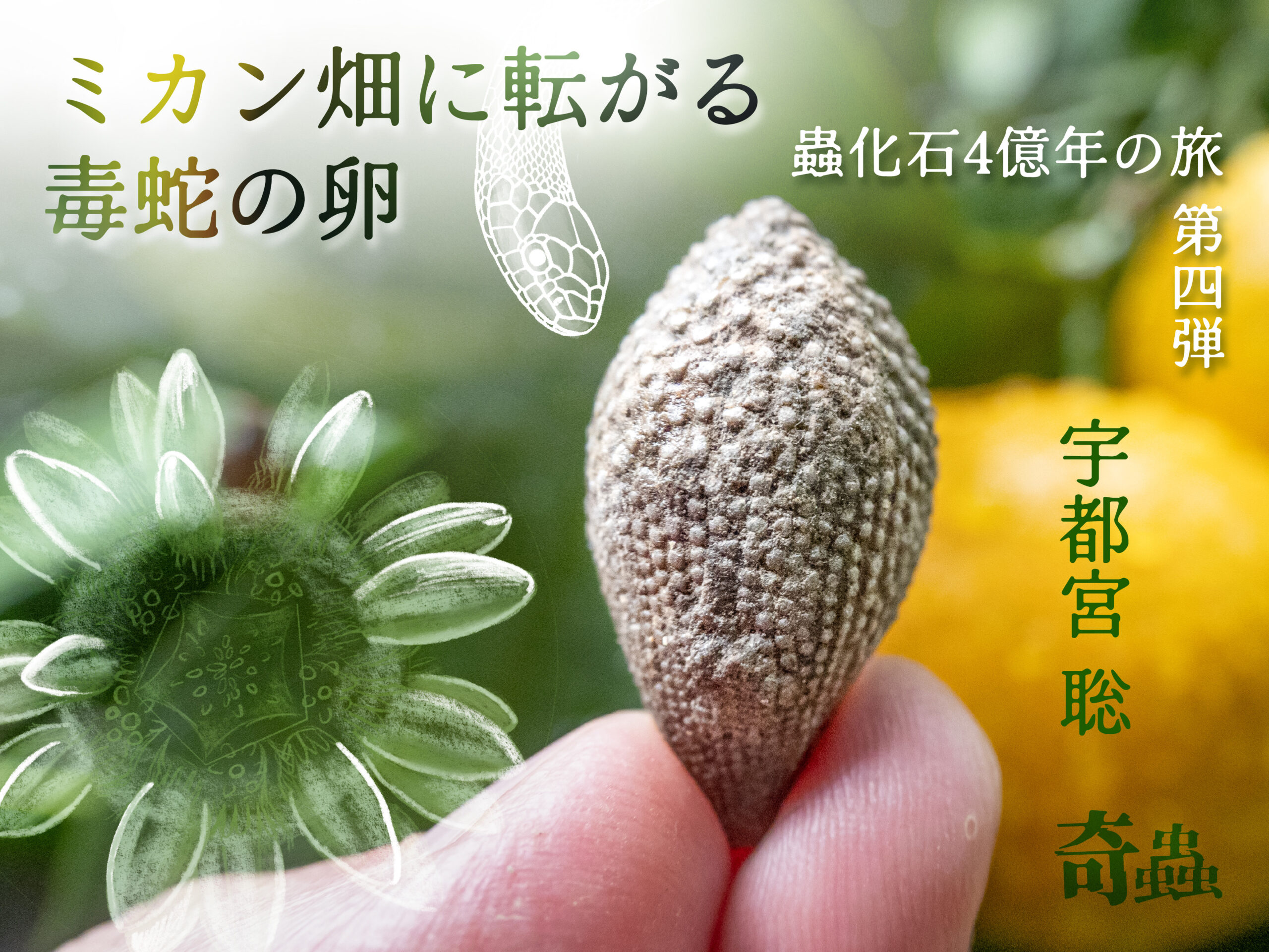 蟲化石4億年の旅