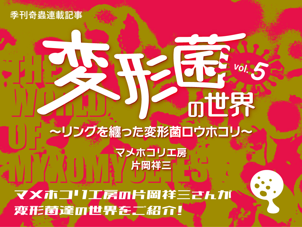 変形菌の世界