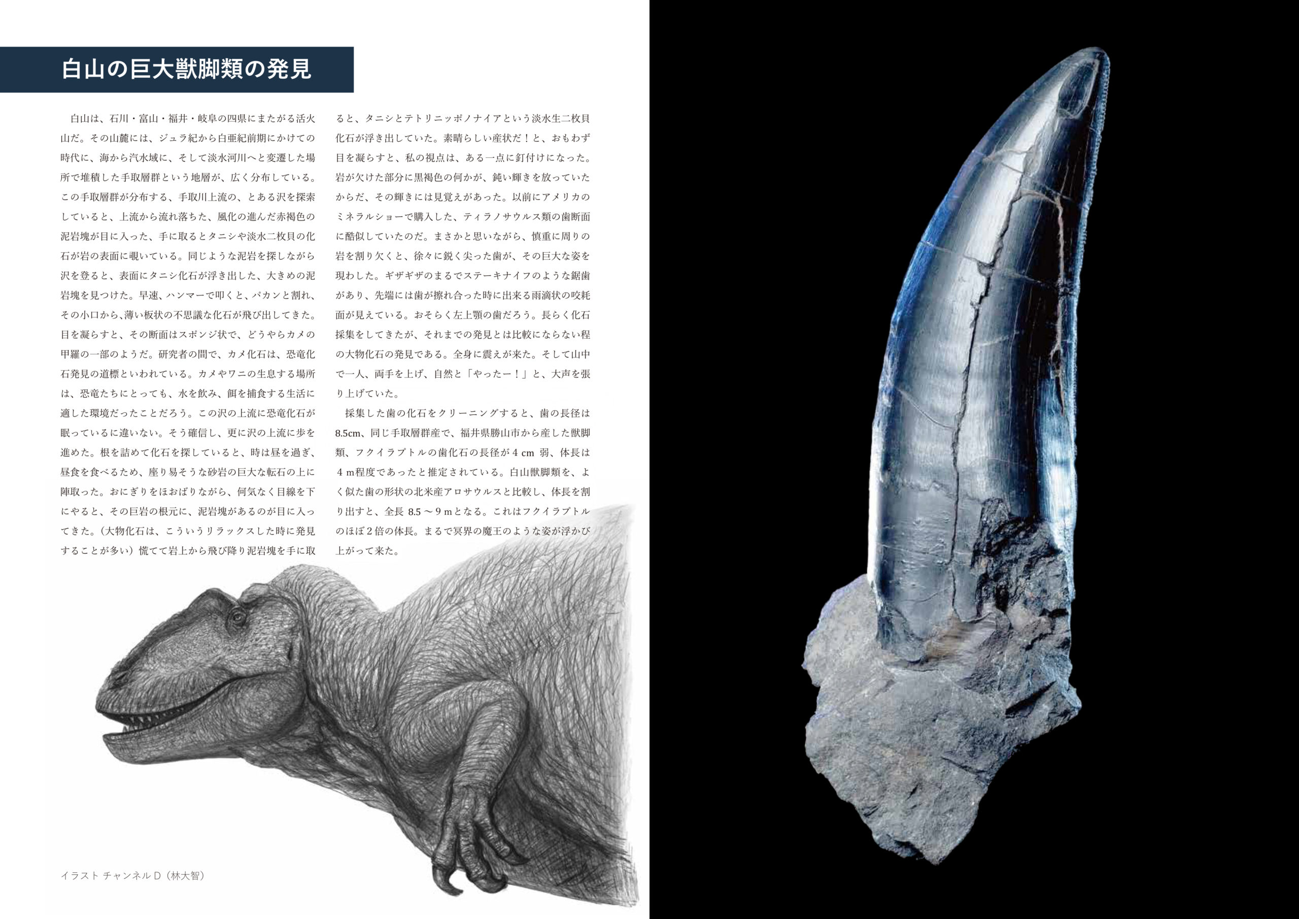 なにわの恐竜時代展_お試し読み見本-3